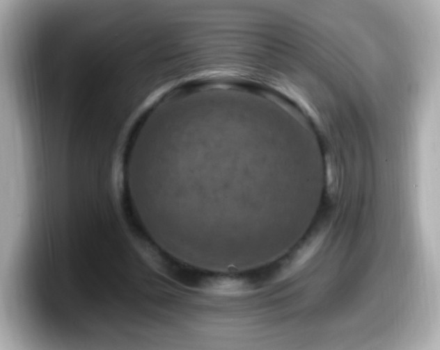 X0000099980348200805231429