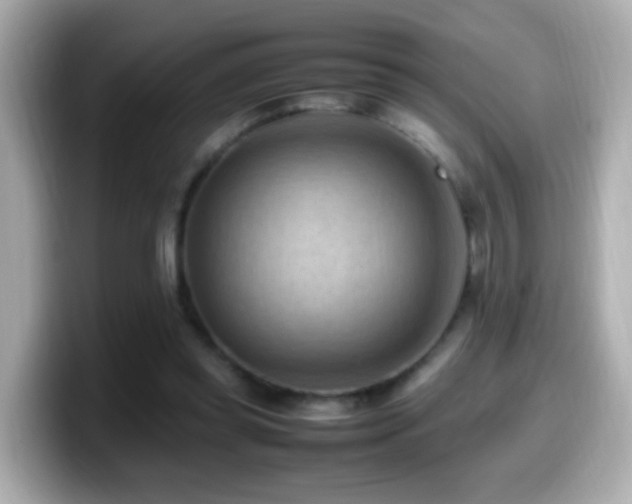 X0000099980349200805231429