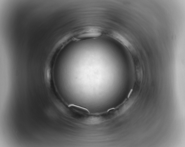 X0000099980350200805231429