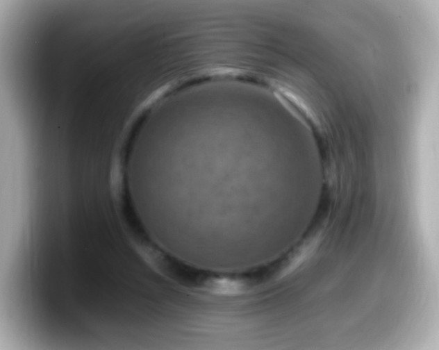X0000099980352200805231429