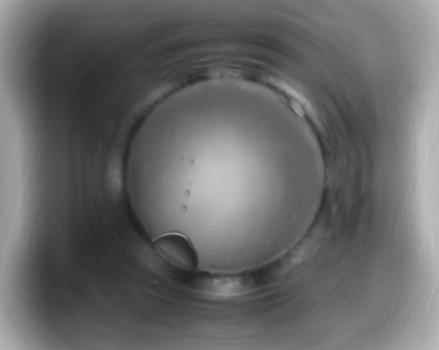 X0000099980353200805231429