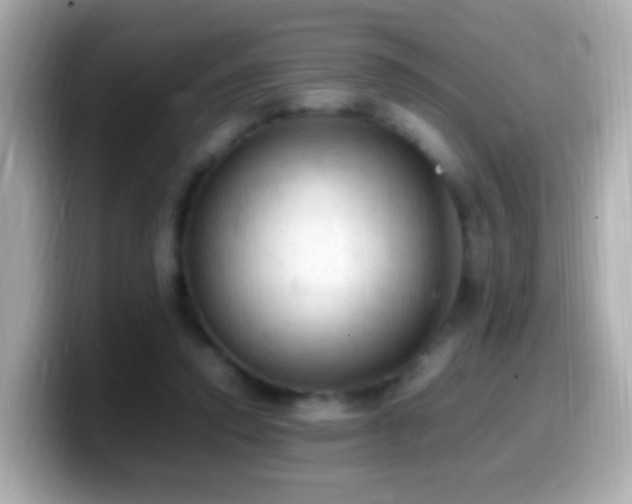 X0000099980354200805231429