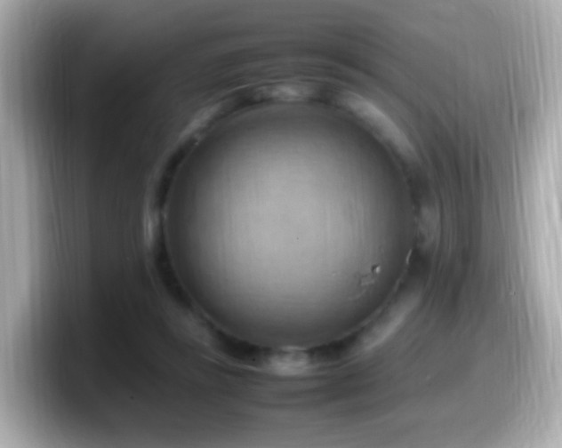 X0000099980355200805231429