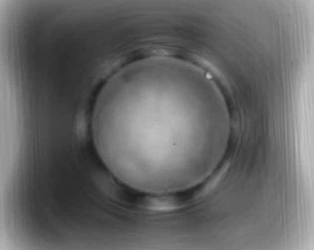 X0000099980359200805231429