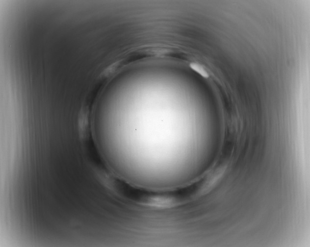 X0000099980360200805231429
