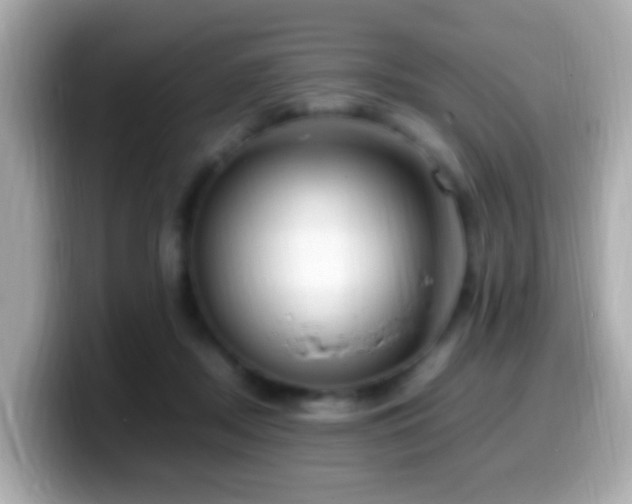 X0000099980362200805231429