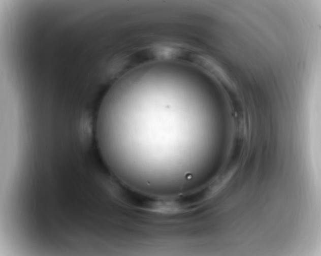 X0000099980363200805231429