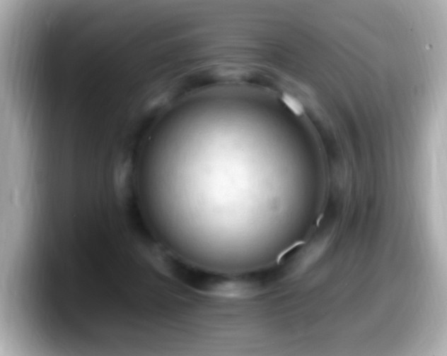 X0000099980364200805231429