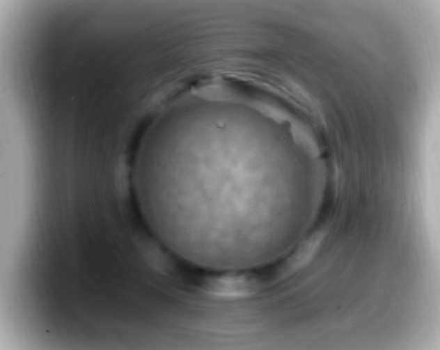 X0000099980366200805231429