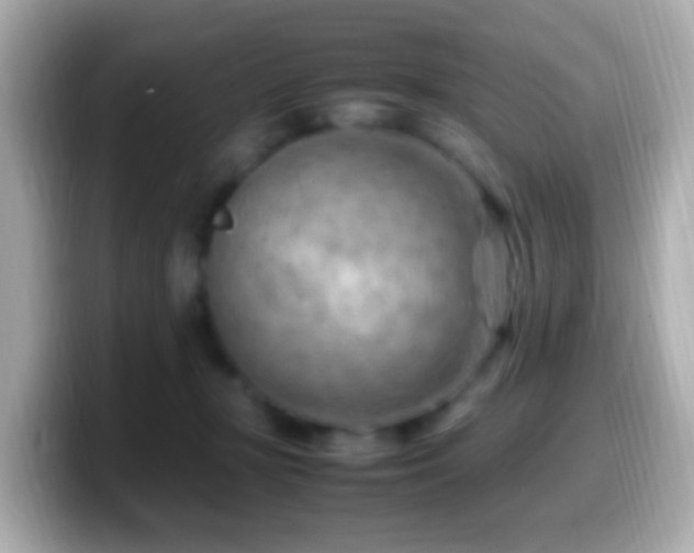 X0000099980367200805231429