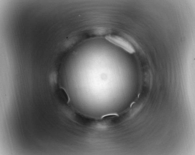 X0000099980368200805231429