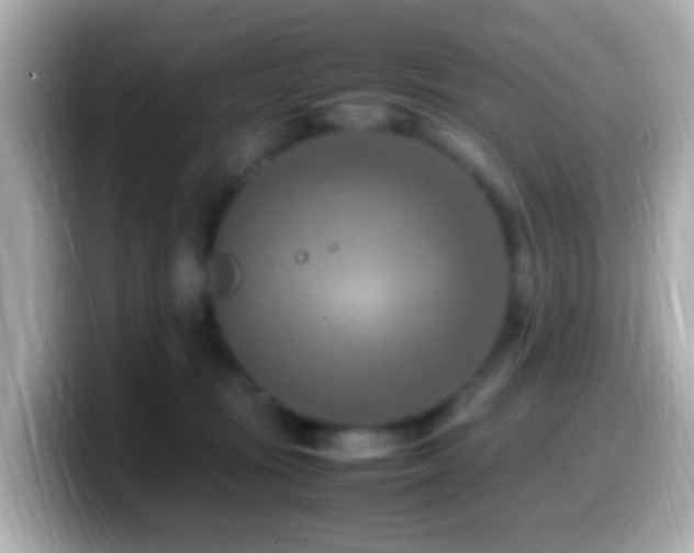 X0000099980371200805231429