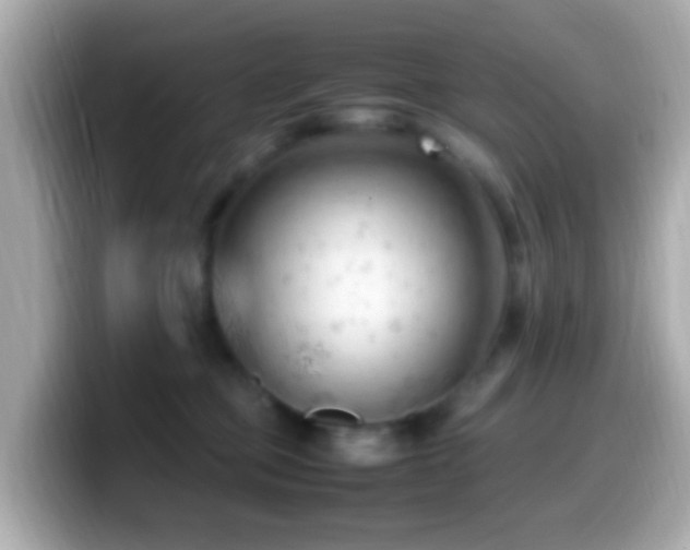 X0000099980373200805231429