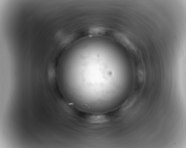 X0000099980375200805231429