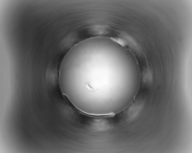 X0000099980376200805231429