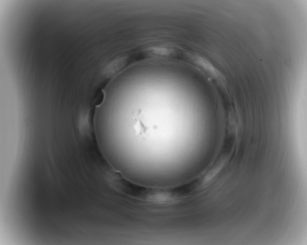 X0000099980377200805231429