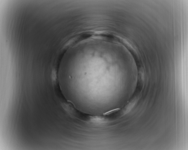 X0000099980380200805231429