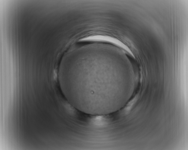 X0000099980382200805231429
