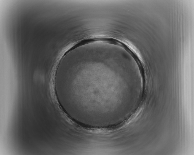 X0000099980385200805231429