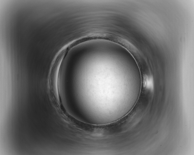 X0000099980388200805231429