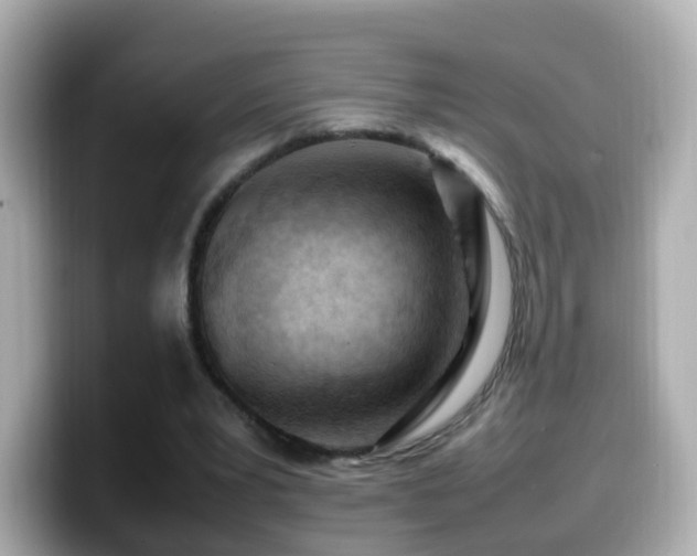 X0000099980391200805231429