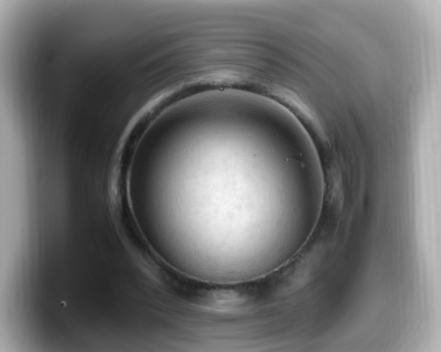 X0000099980392200805231429