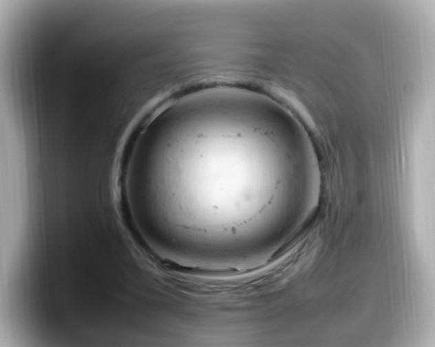X0000099980395200805231429