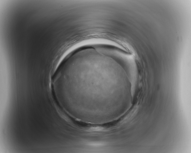 X0000099980397200805231429