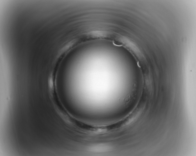 X0000099980398200805231429