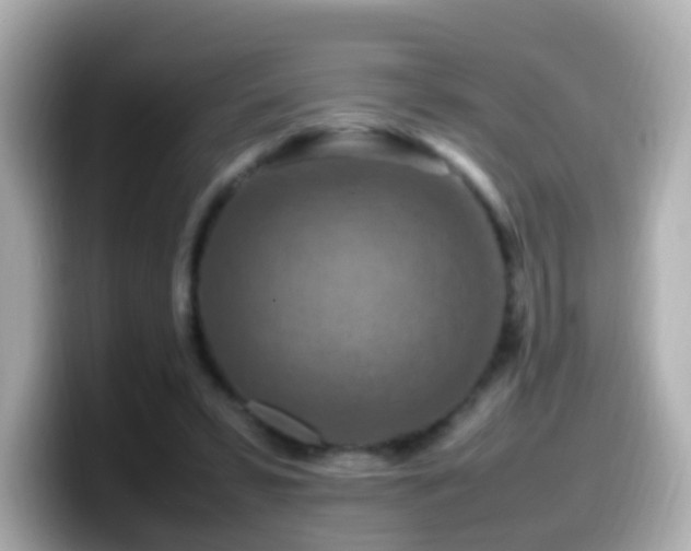 X0000099980399200805231429