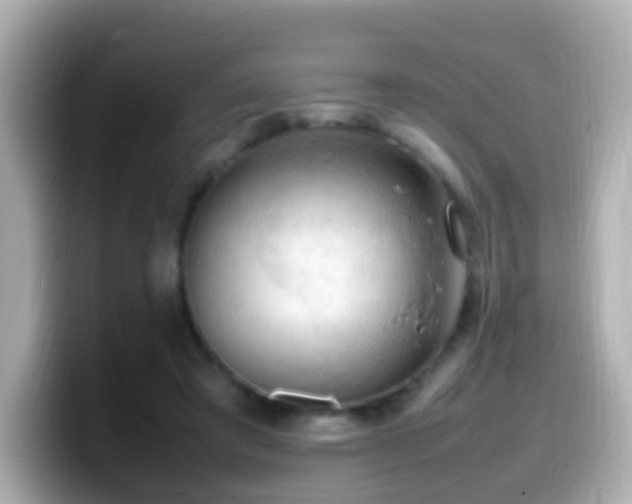 X0000099980401200805231429