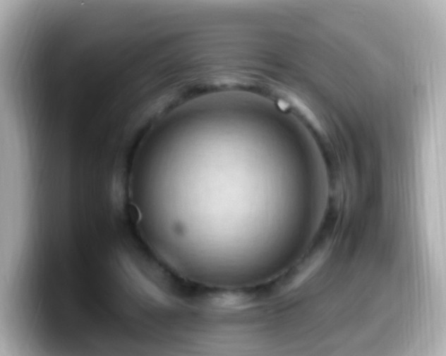 X0000099980402200805231429