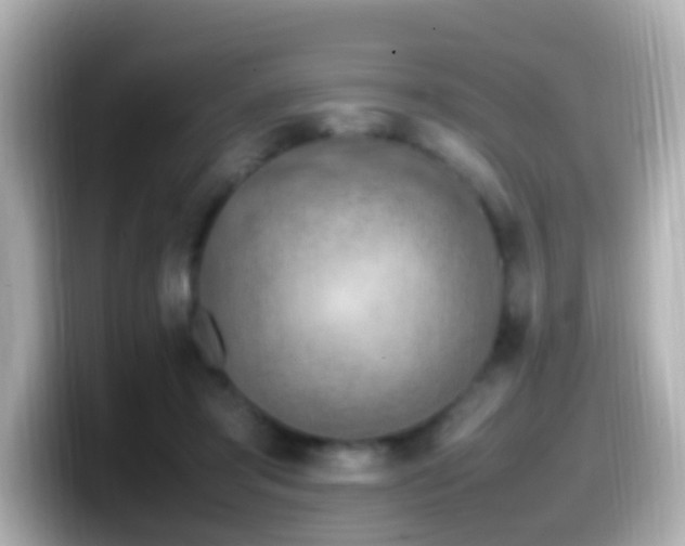 X0000099980405200805231428