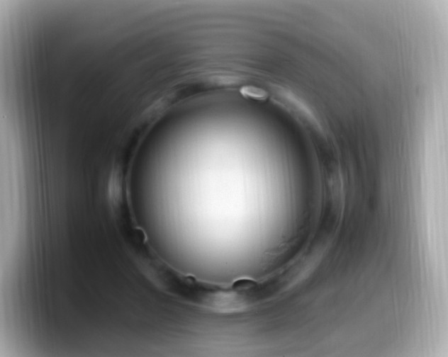 X0000099980406200805231428