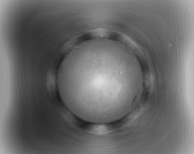 X0000099980409200805231428