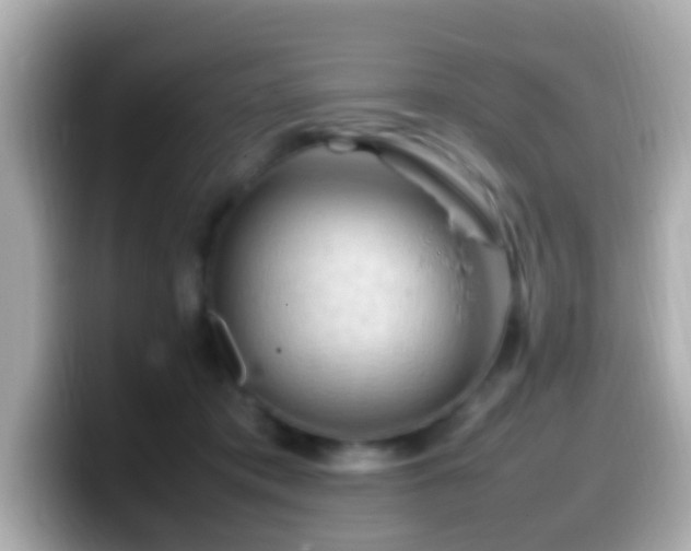 X0000099980413200805231428