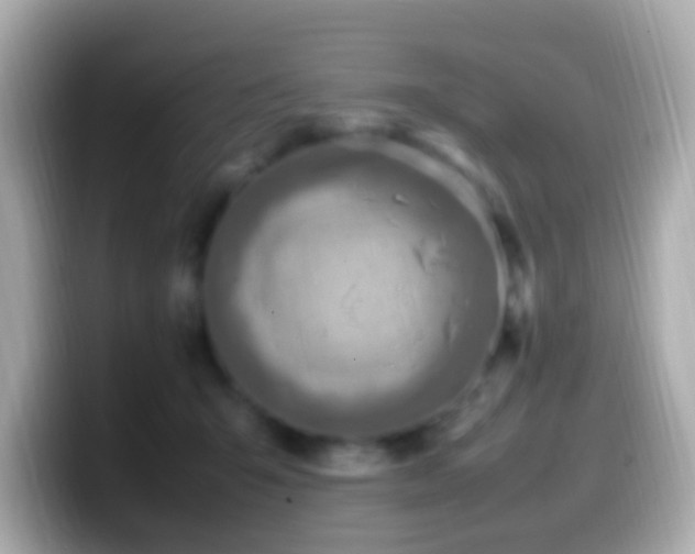X0000099980415200805231428