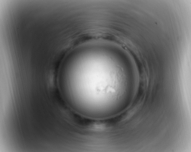 X0000099980416200805231428