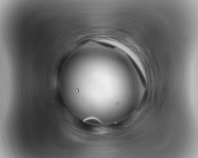 X0000099980417200805231428