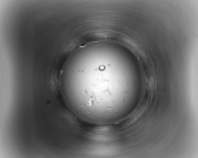 X0000099980418200805231428