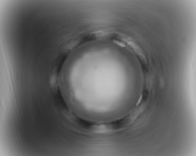 X0000099980419200805231428