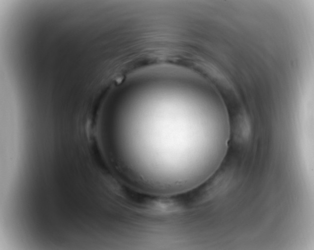 X0000099980420200805231428