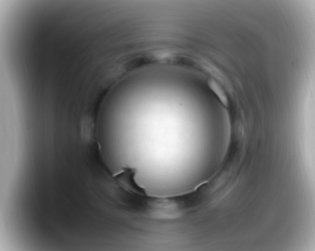 X0000099980421200805231428