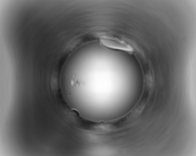 X0000099980422200805231428