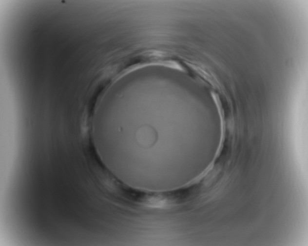 X0000099980423200805231428