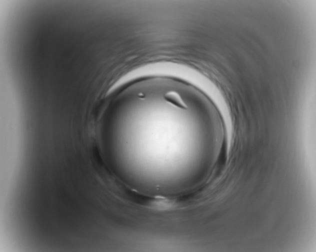 X0000099980425200805231428