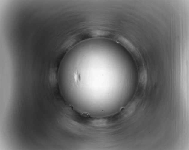 X0000099980426200805231428