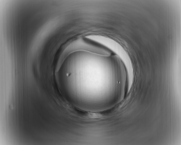 X0000099980429200805231428