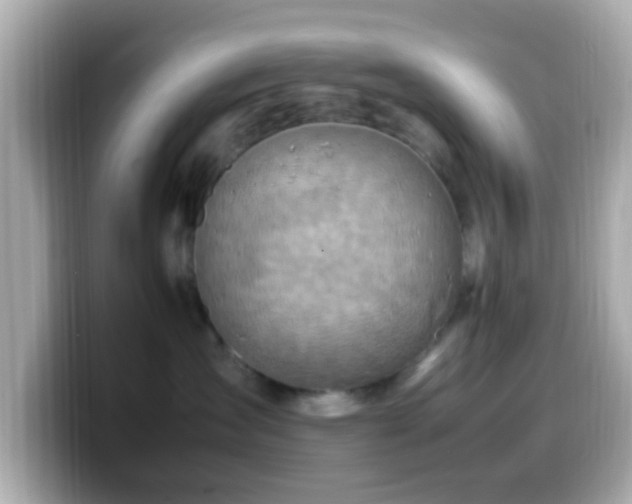 X0000099980431200805231428