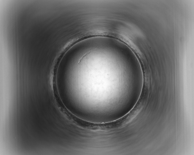X0000099980434200805231428